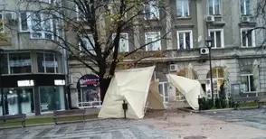 Вятър със скорост 90 км/ч събори дървета и спря пристанищните кранове