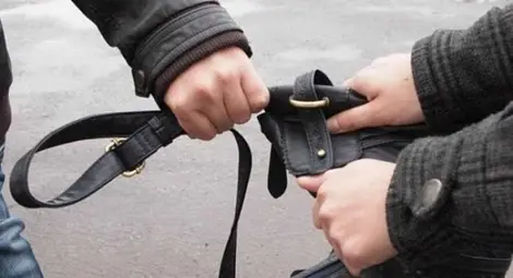 Съпротива и реакция на съседка осуетиха нагъл опит за грабеж на чанта с покупки Съпротива и реакция на съседка осуетиха нагъл опит за грабеж на чанта с покупки