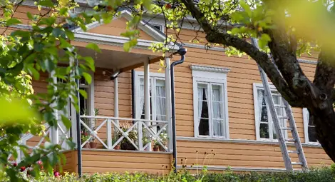 Добрата съпруга на националния поет Добрата съпруга на националния поет