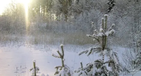 След пролетните температури зимата се завръща в края на февруари