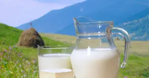 Отказаха ни допълнителна  помощ за млечния сектор