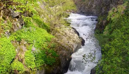 МОСВ: Очакват се краткотрайни повишения на речните нива