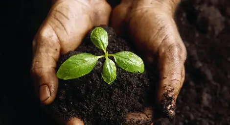 Фермери и професори обсъждат в Русе как да се опазват почвите