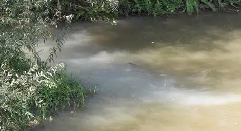 Лома пак тече като в приказките - ту червен, ту син, ту млечнобял