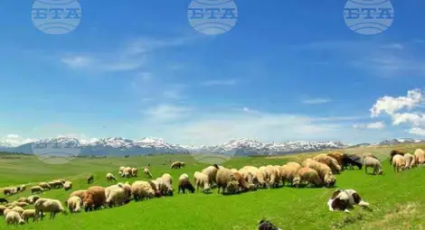 Снимка: БТА Снимка: БТА