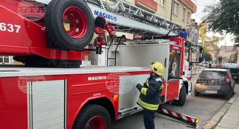 Снимка: БТА