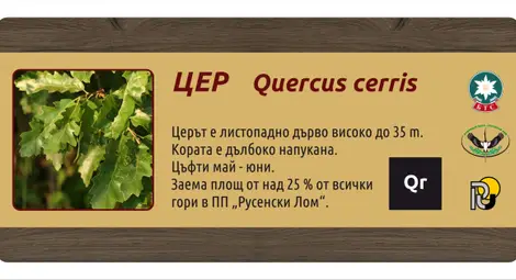 Снимка: Пресцентър Снимка: Пресцентър