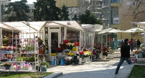 Инспектори под прикритие заловиха пестеливи на касови бележки цветари