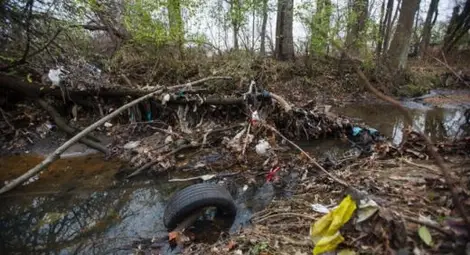 Животът на Земята е в опасност