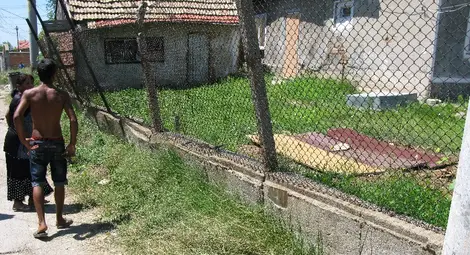 Кон изваден с кран от петметрова шахта в Селеметя