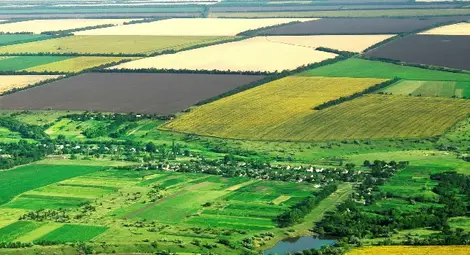 Блокираха регистрацията на ниви в четири русенски общини Блокираха регистрацията на ниви в четири русенски общини