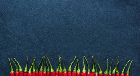 Градинар отгледа най-лютата чушка на света Градинар отгледа най-лютата чушка на света