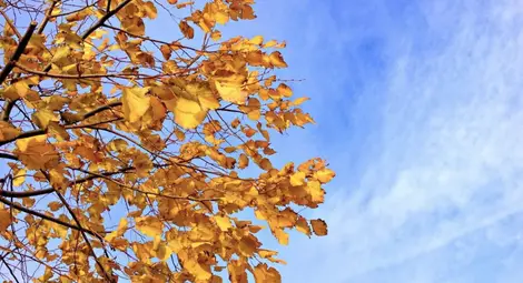 Слънчев ноемврийски понеделник