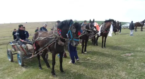 Празнични кушии събраха стотици хора на Бог баир край Ценово