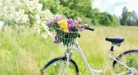 Слънчева събота, до 19 градуса днес