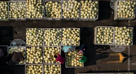 Снимка: БТА Снимка: БТА