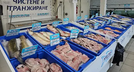 Шаранът си остава цар на трапезата на Никулден, цената му е от 8.99 да 12.40 лева за килограм Шаранът си остава цар на трапезата на Никулден, цената му е от 8.99 да 12.40 лева за килограм