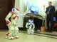 Хуманоидни роботи представят на конференция в университета