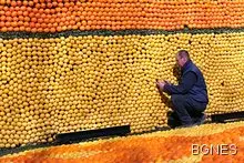 Портокалите изгарят мазнини 