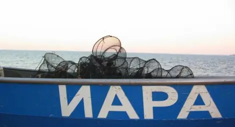 ИАРА иззе 200 кг риба за седмица