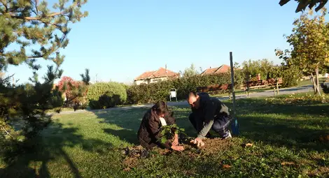 В Ценово засадиха фиданки за кампанията &bdquo;Бъди смел, бъди добър!&ldquo;