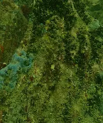 Проф. Христо Пимпирев идва в Русе на откриването на изложбата „Подводната вкаменена гора“ - проучване на феномена в Созополския залив Проф. Христо Пимпирев идва в Русе на откриването на изложбата „Подводната вкаменена гора“ - проучване на феномена в Созополския залив