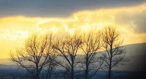 Започва застудяване