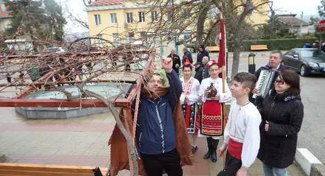 В Ценовско спазиха традициите и ритуалите за Трифон Зарезан