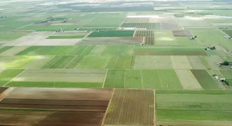 Цените на нивите са на пикови  нива в Североизточна България