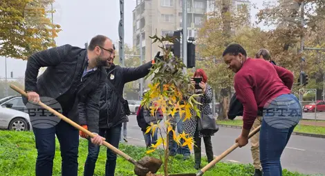 Снимка: БТА Снимка: БТА