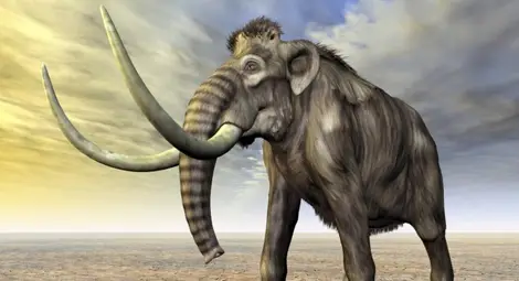 Разкриха как мамутите са оцелявали в студа