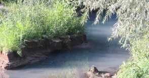 Русенски Лом всеки ден тече в различни цветове