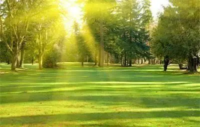 Слънчево и горещо ще е утре, максималните температури ще са между 33&deg; и 38&deg;