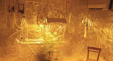 Полицията разби наркооранжерия в Новград