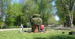 30 000 цветя връщат великолепието на Вазата