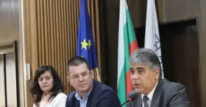 Африканската чума изтребила глиганите в горите