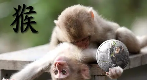 2016 е годината на Маймуната