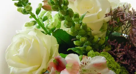 НАП погва цветарите. Укривали милиони