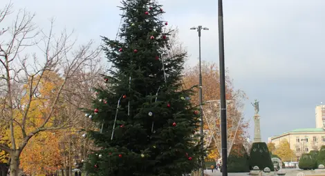 Коледната елха ще засияе в сряда, Русе посреща Нова година на площада с Поли Генова и &bdquo;Сода Акустик&ldquo;