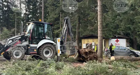 Снимка: БТА Снимка: БТА