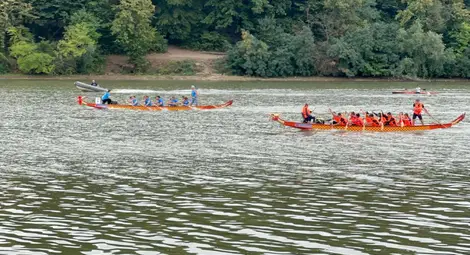 В Русе предстоят републиканско първенство и Фестивал на драконовите лодки В Русе предстоят републиканско първенство и Фестивал на драконовите лодки