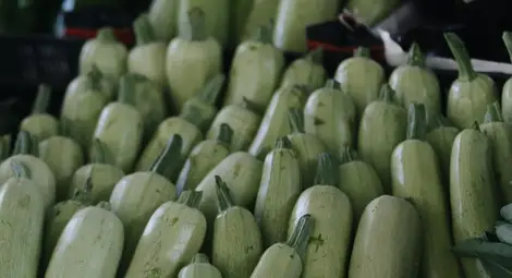 Топ 5 на най-полезните зеленчуци за отслабване