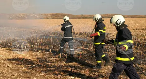 Снимка: БТА Снимка: БТА