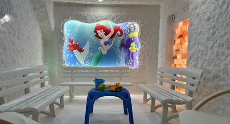 Солна стая бе открита в русенската детска градина "Русалка" /галерия/