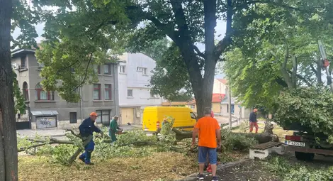 В Русе над 230 служители от дежурните екипи отстраняват щетите след снощната буря В Русе над 230 служители от дежурните екипи отстраняват щетите след снощната буря