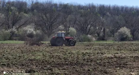 Трактор на екоактивист прегази  прясно засадени дръвчета в Мартен