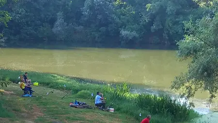 Въдичари се събраха на риболовен празник край Белцов Въдичари се събраха на риболовен празник край Белцов