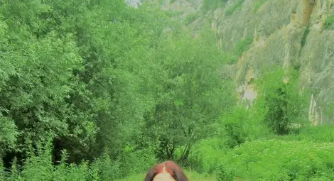 Красимира Василева представя „Моите срещи с граждани и приятели на Русе“ Красимира Василева представя „Моите срещи с граждани и приятели на Русе“