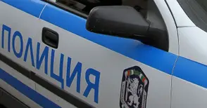 Шофьор блъсна куче, прегази крака на стопанката му и избяга