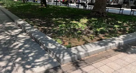 Вандали потрошиха поливната система на Ларгото